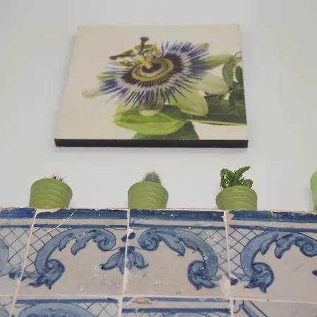 Tiles Of Sao Paulo Appartement Lissabon